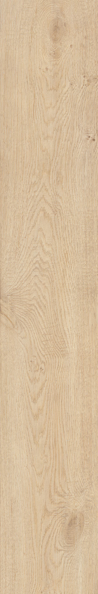 AHG9 Rever Anise Matt RT 20х120 Caesar
