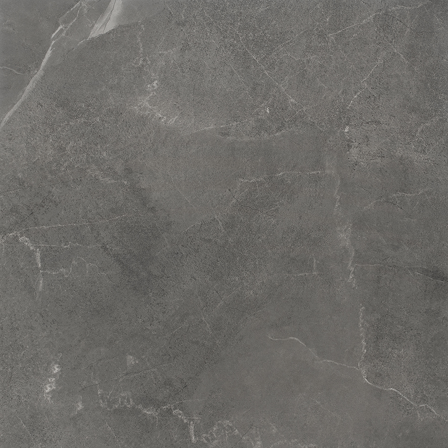 LP6060G0011R Samos Graphite графит матовый 60х60 Laparet