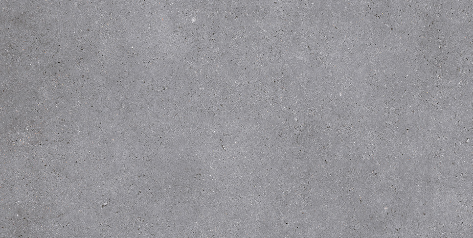 NR210 Nemo Grey 60x120 PrimaVera
