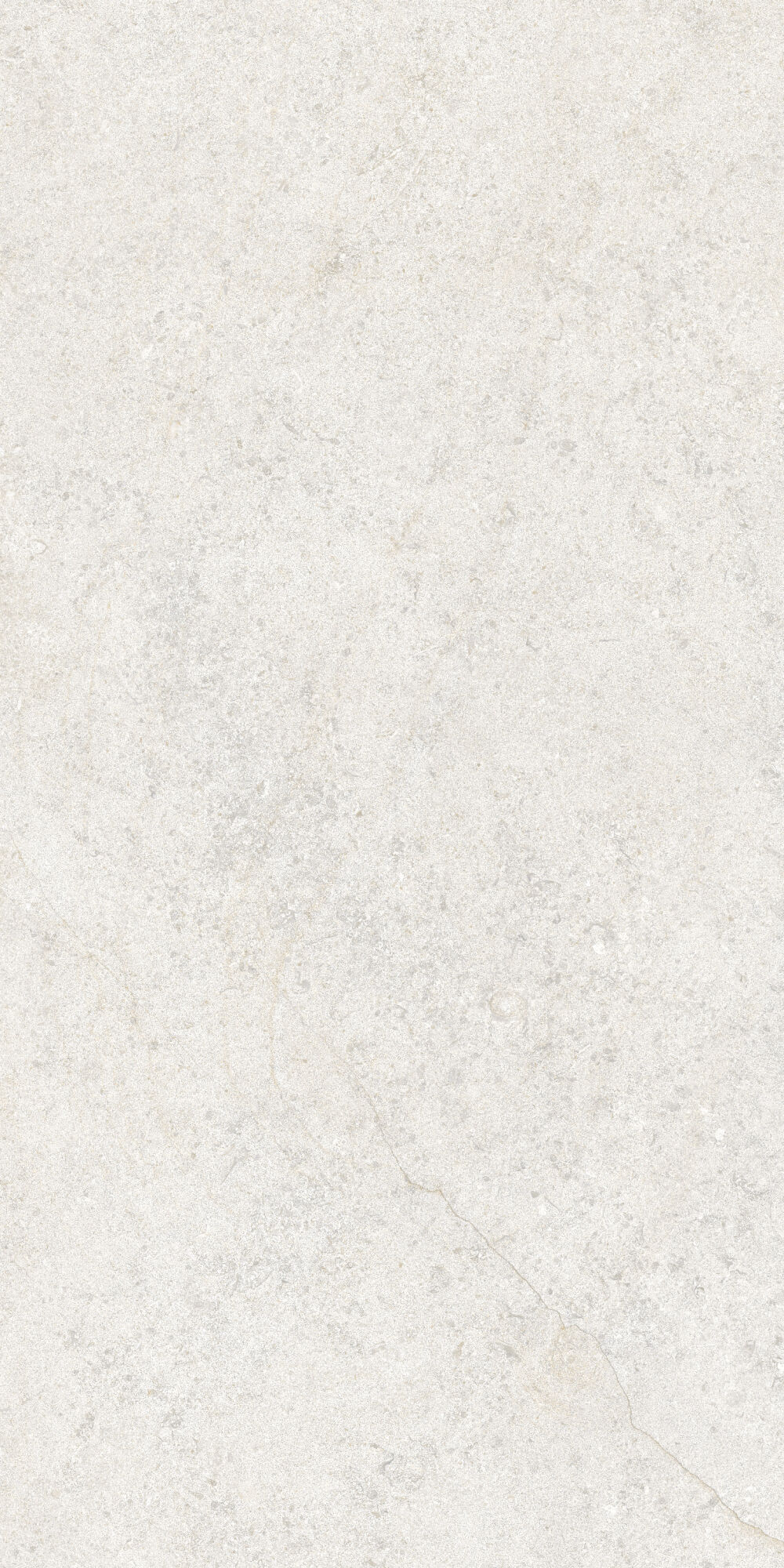 36903 Cluny Sand 4D/50X100X2/A/R 50x100 Peronda фото 12