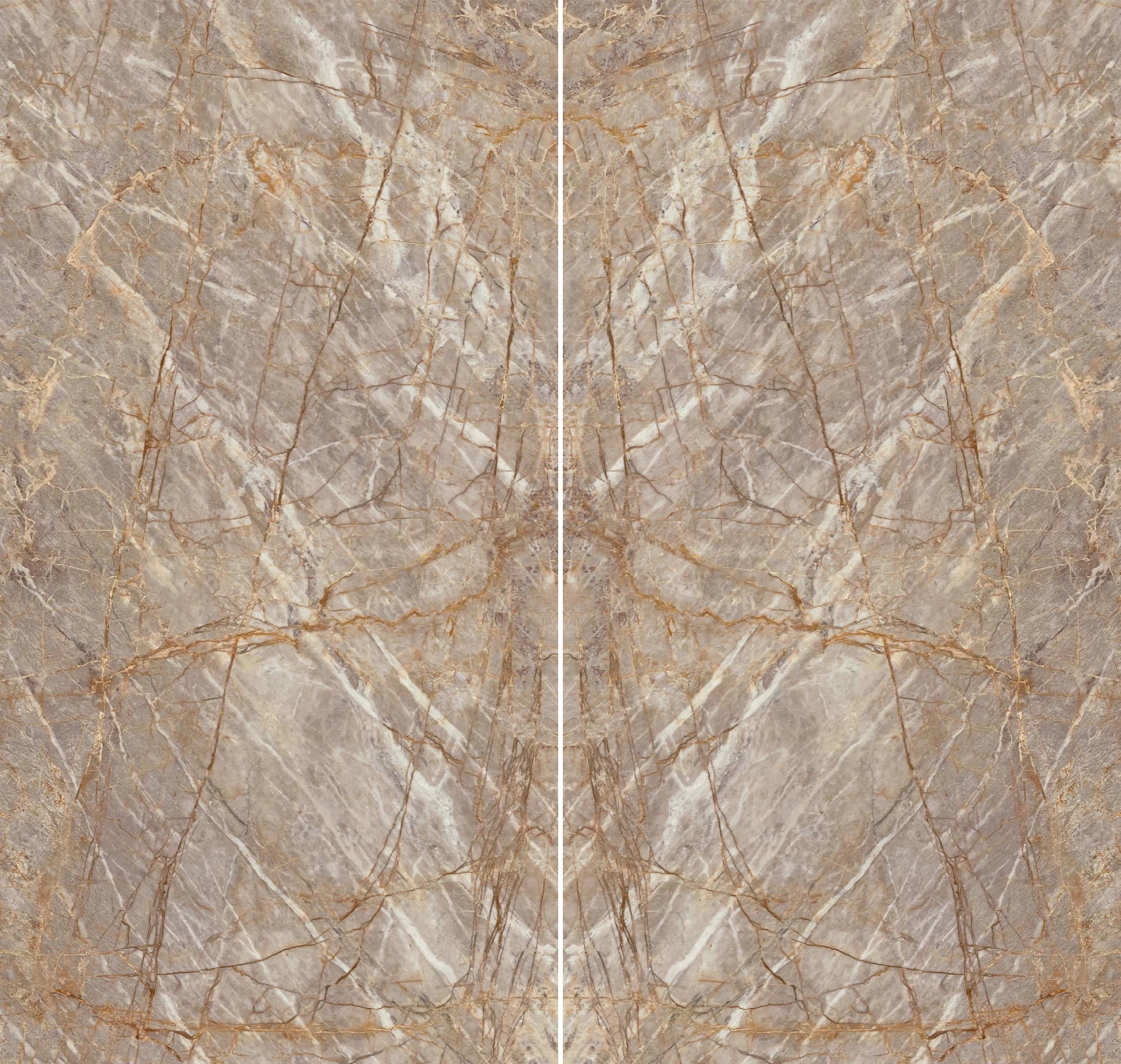 HEA5 Natural Roots Bookmatch Polished ST 12mm 162x324 Atlas Concorde