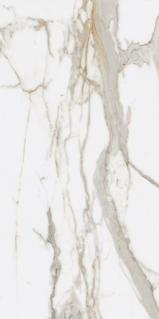 610010001411 Charme Evo Calacatta Nat Rett 60x120 Italon