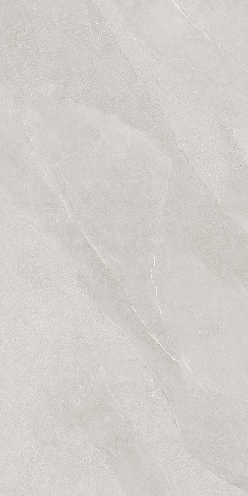 TMS111 Time Stone Ghiaccio Rett 60x120 Cotto Petrus