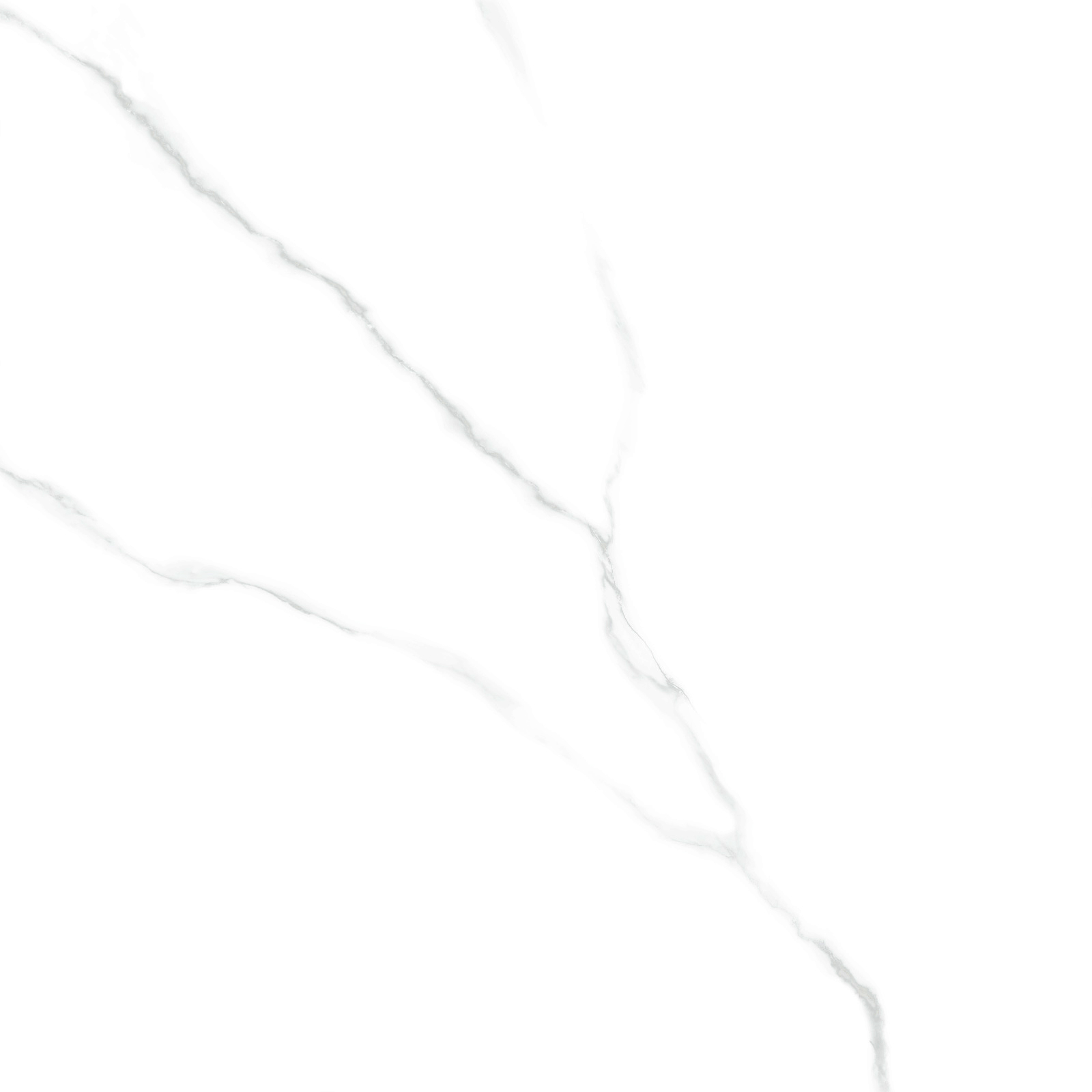 6060AMR00P Atlantic Marble 60x60 LCM