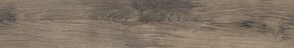 Northwood Elm 20x120 Baldocer