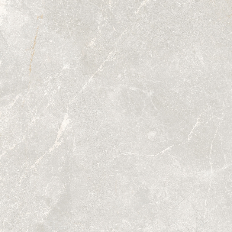 Rocky Bianco PRO светло-серый матовый R10GR STR 80х80 Laparet