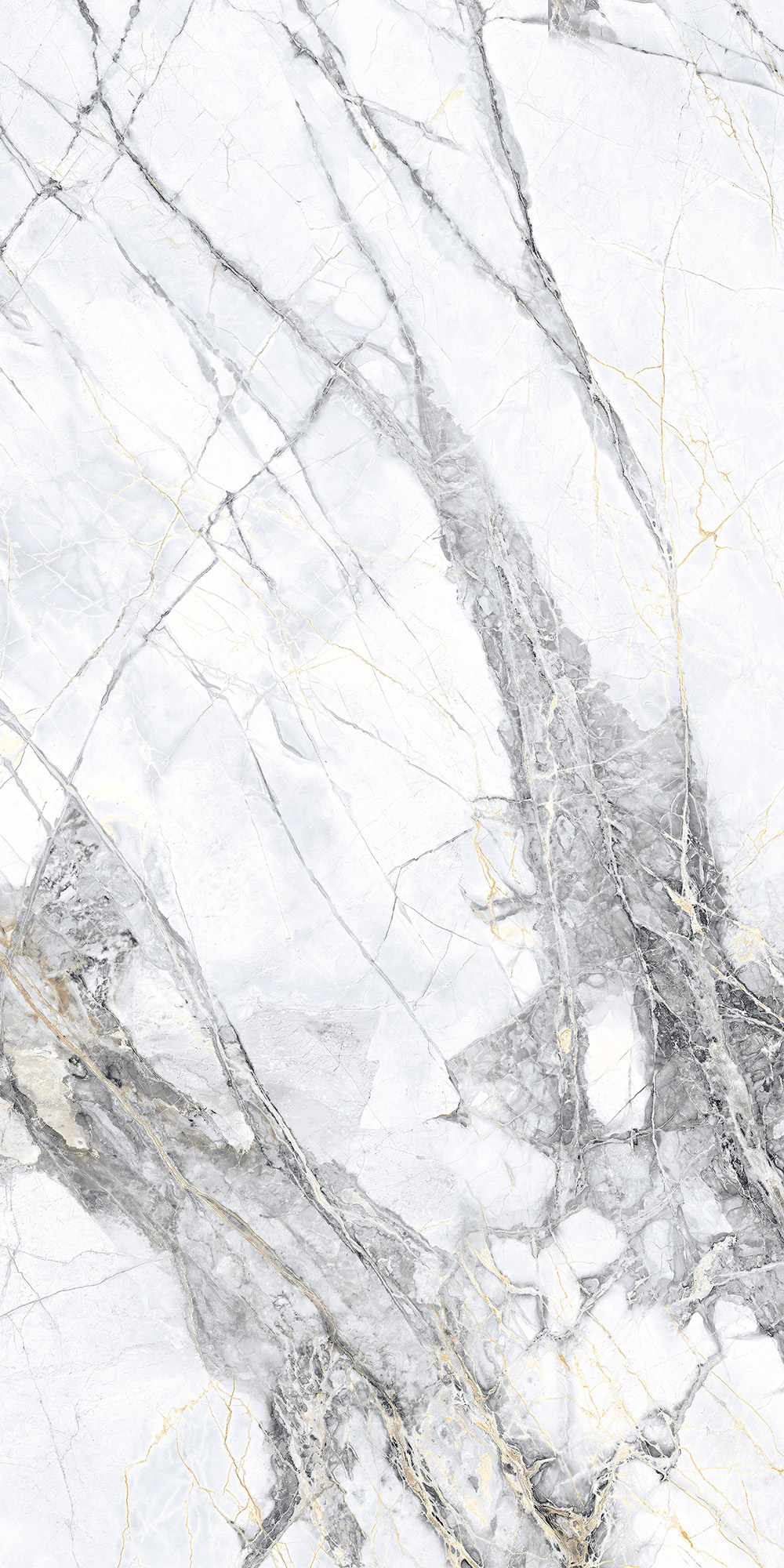 CL4008-A Malta Bianco Carving Lappato 60x120 Arcadia Ceramica