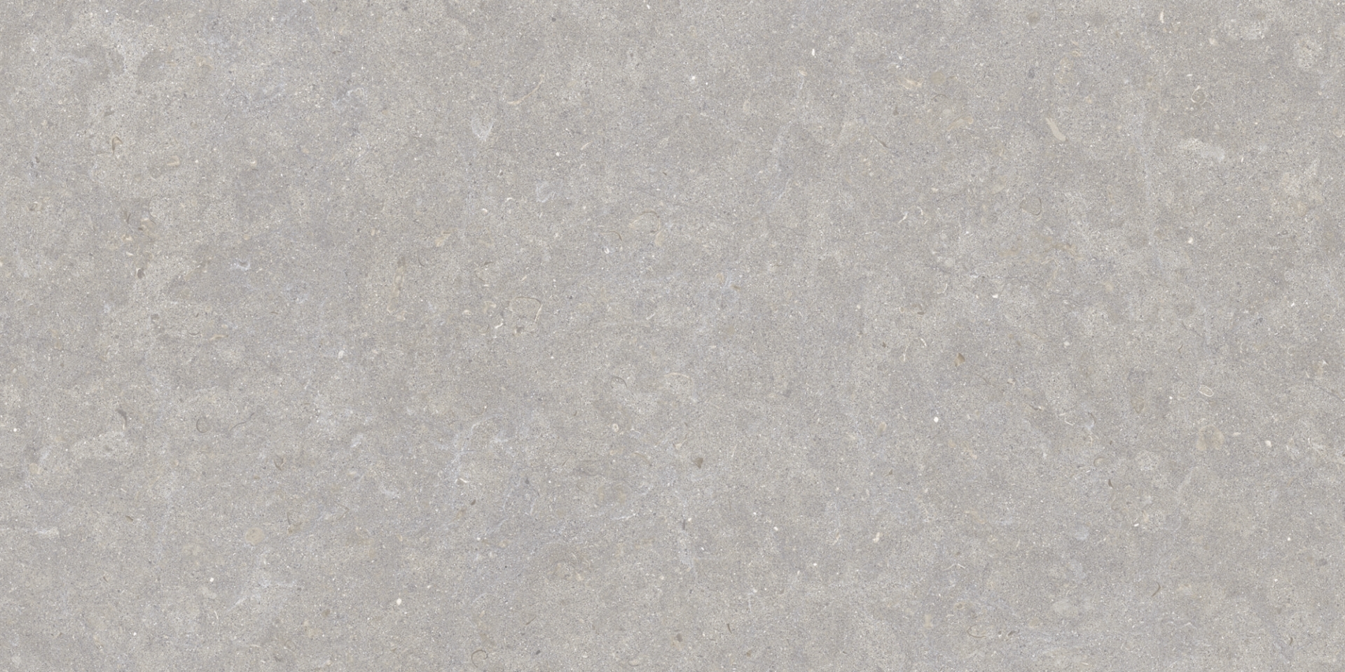35568 Ghent Grey/50X100X2/A/R 50x100 Peronda