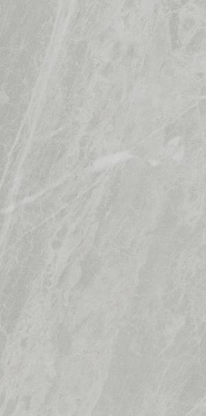 P612498 Gris De Savoie Soft 60x120 Ariostea