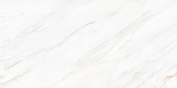 2601 Venato Soft Polished 60x120 Leopard