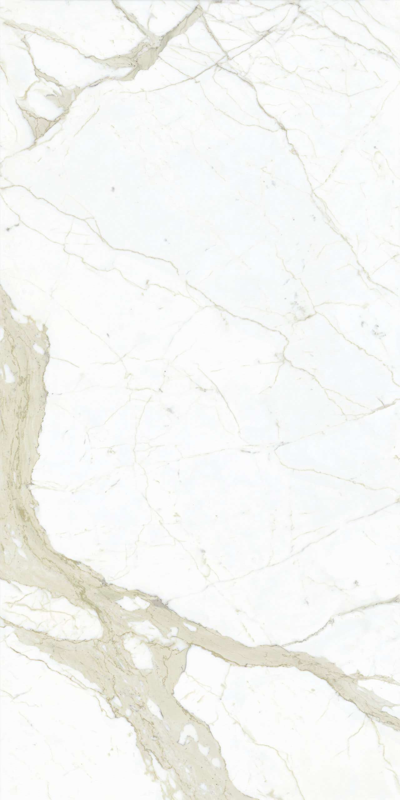 L315332MF6 Calacatta White Lucido 150x300 IRIS FMG