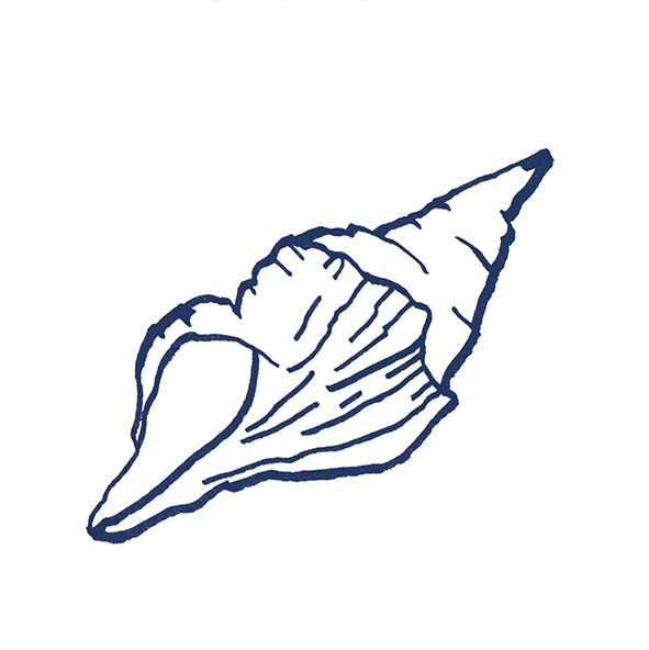 4101301 Stories Costiera Matte 10x10 41ZERO42 фото 12