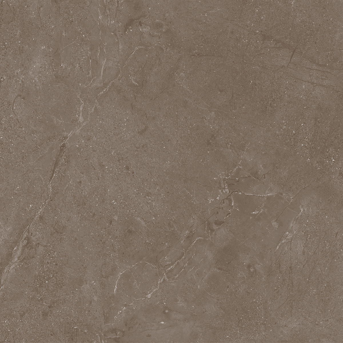 Нобл Мокка ПРО коричневый матовый R11/A Бархат 60х60 Laparet фото 5