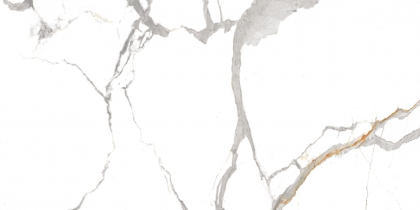 Lioz Statuario Polished 60x120 Realistik