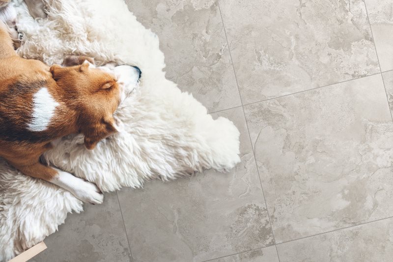 Levenburg Global Tile