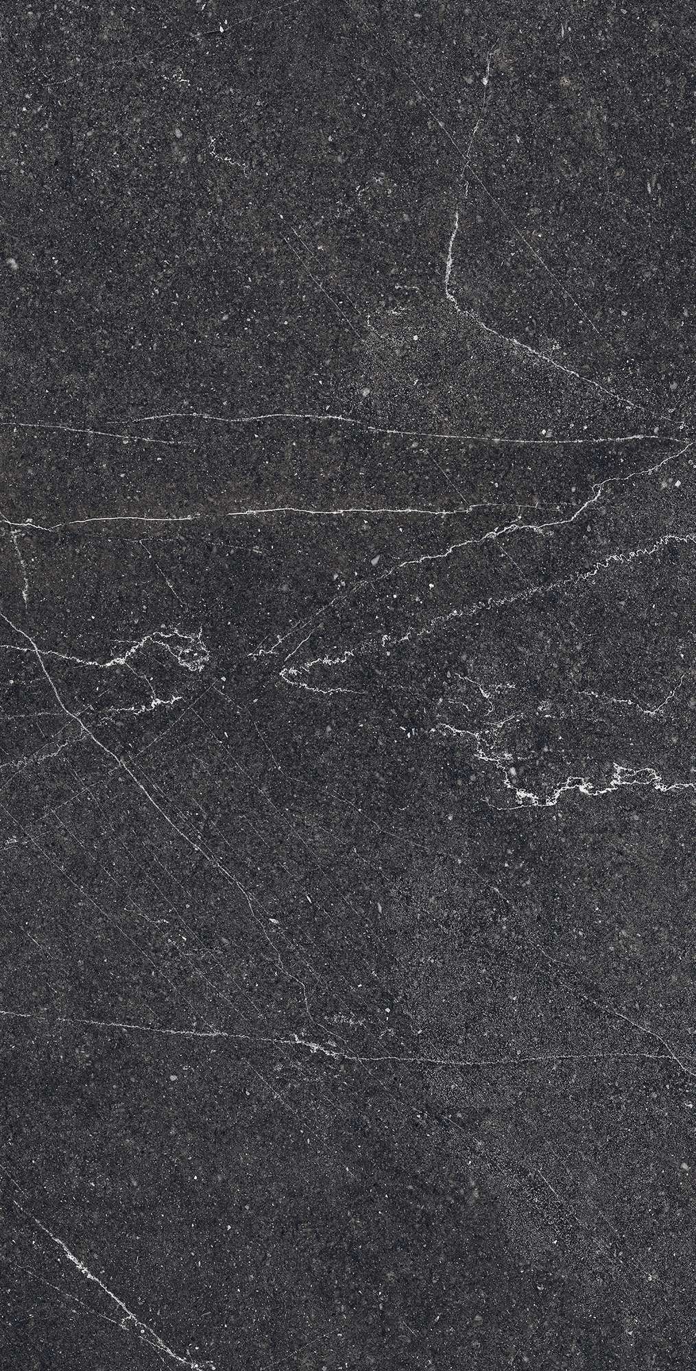 RG6003-A Equistone Charcoal Rotto Glossy Ink 60x120 Arcadia Ceramica