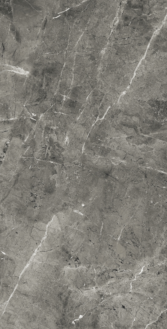 FP1028-A Florencia Grey Full Polished 60x120 Arcadia Ceramica