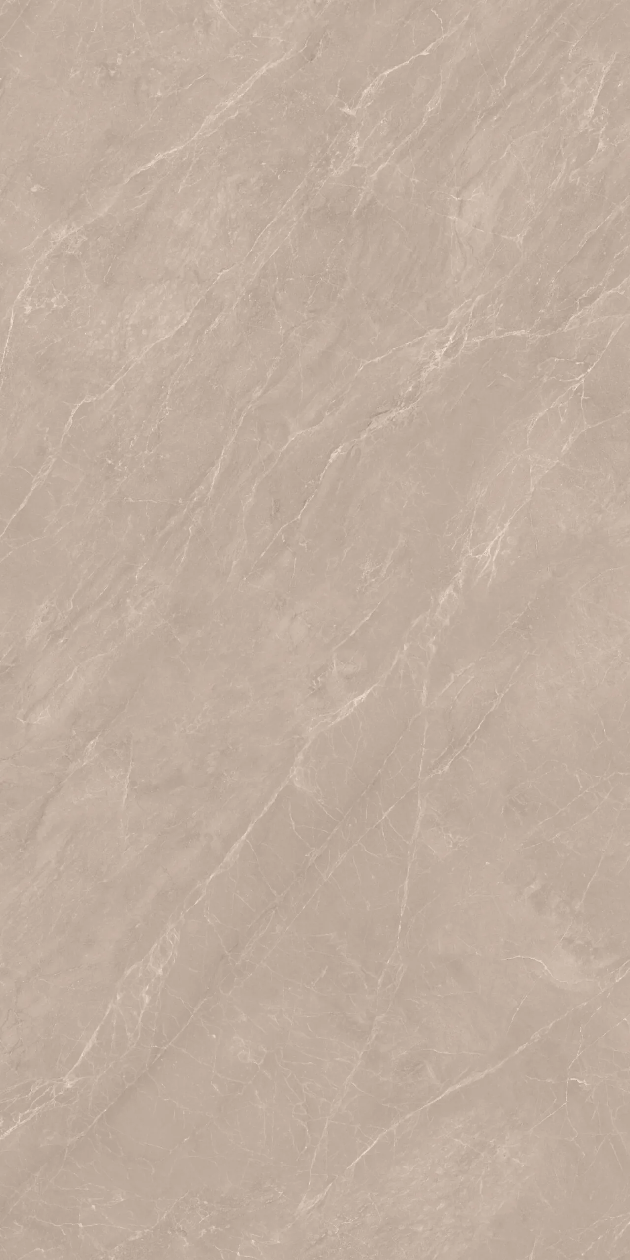 Stonel Light Stone Lapato Punch 60x120 Maimoon Ceramica