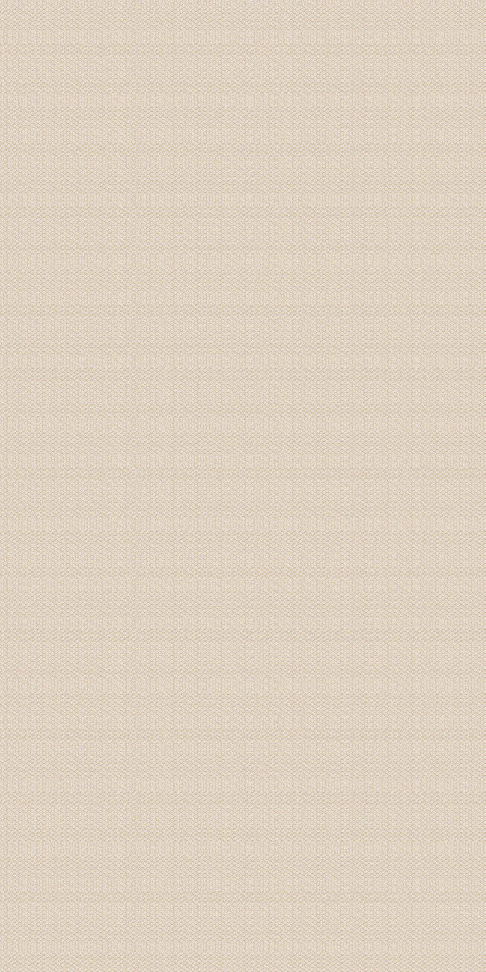769477 Chimera Ritmo Beige Mat Ret 6mm 60x120 Cedit