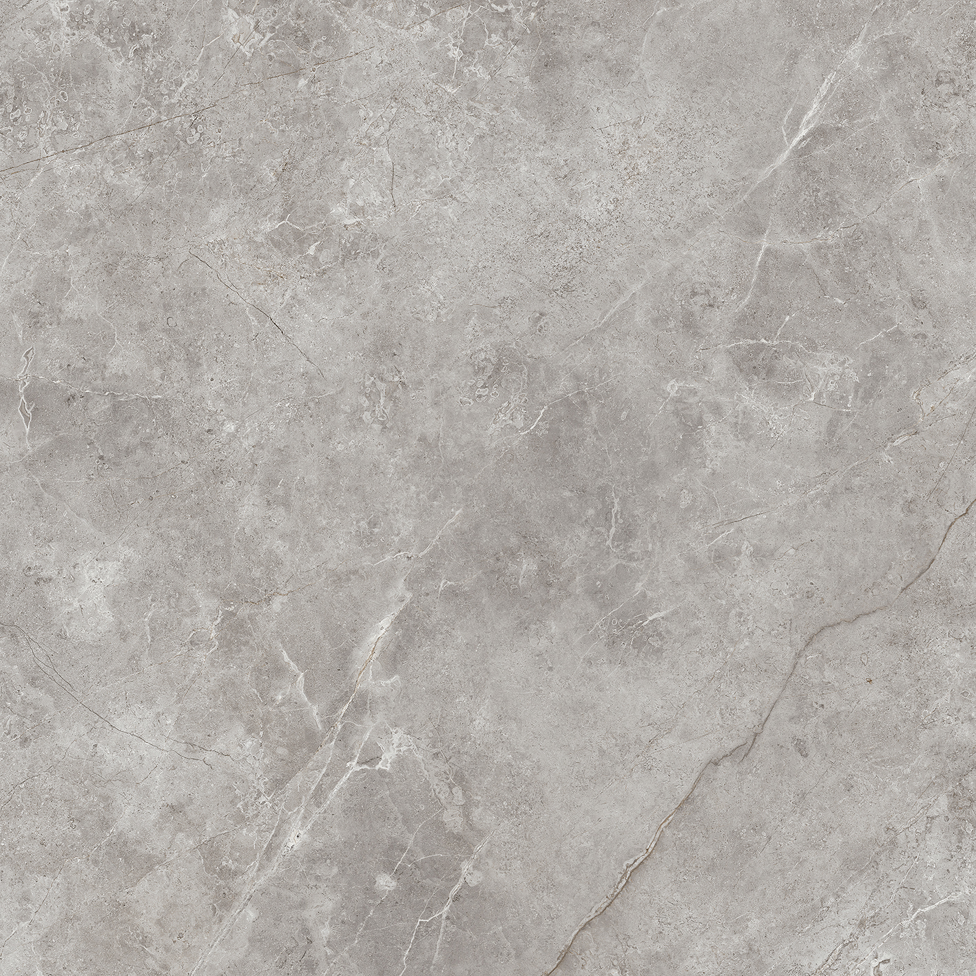 100331094 Fiori Di Bosco Polished 120x120 Urbatek фото 10
