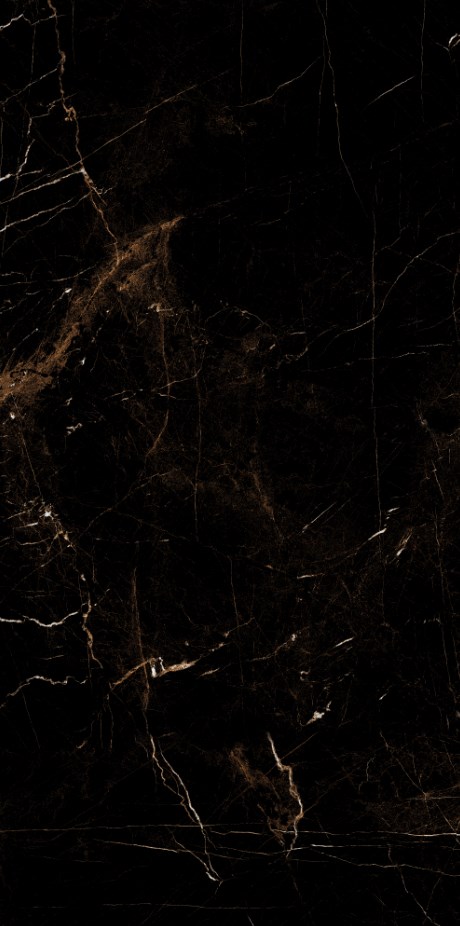 Marble Tropic Black 120x60 Artcer
