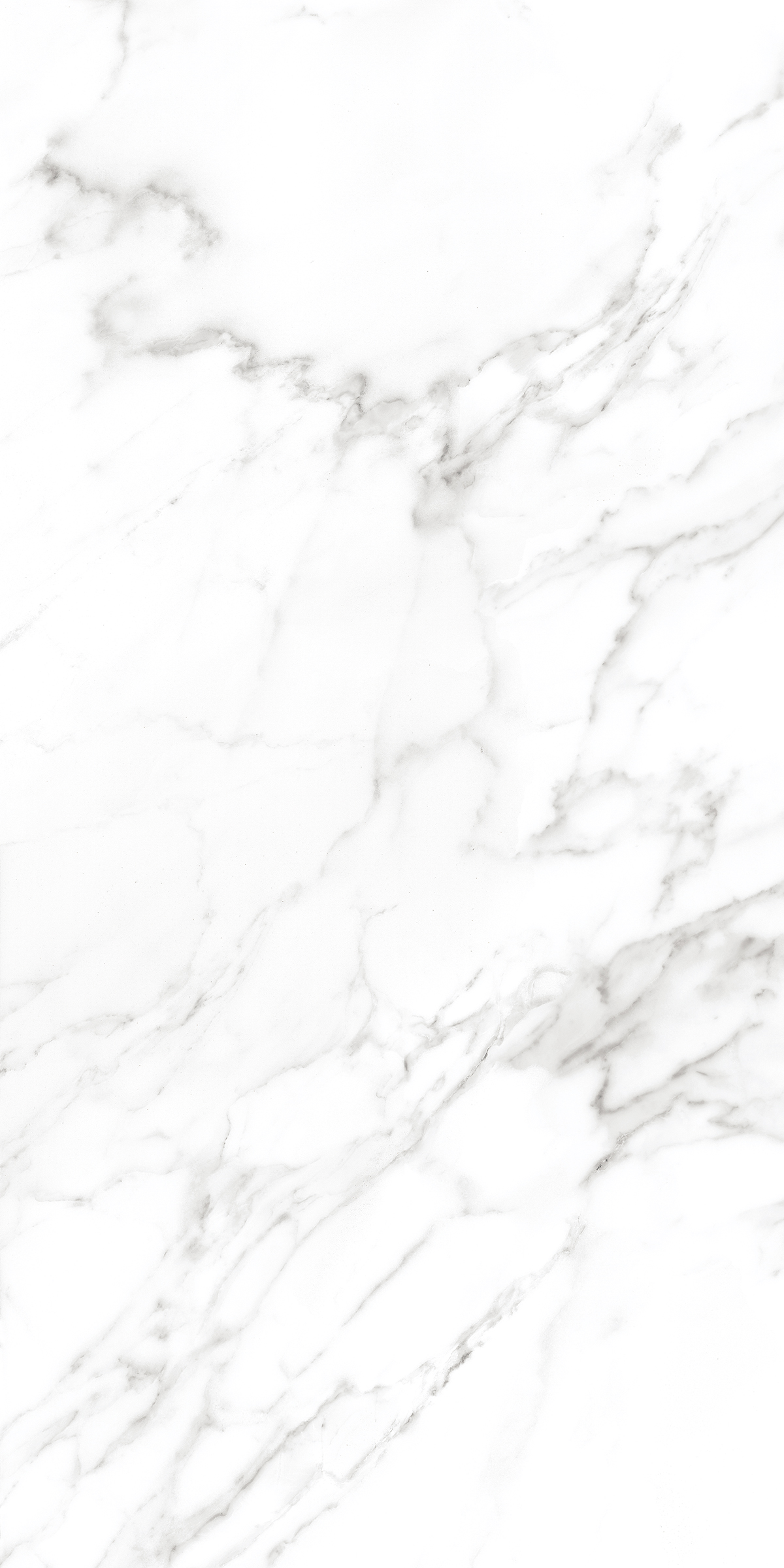 083063 Statuario Lap Ret 60x120 Ava Ceramica