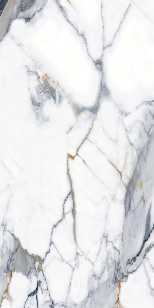 BHM-5002 Calacatta Gold digital glazed-3D ink 60x120 Basconi Home