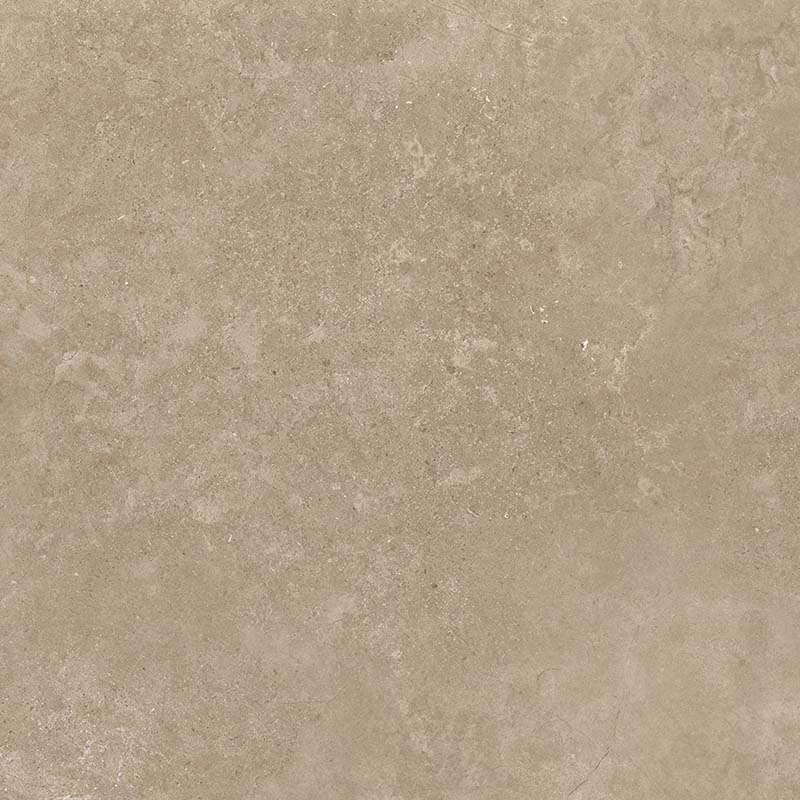 8167 Shell BG 60х60 Creto