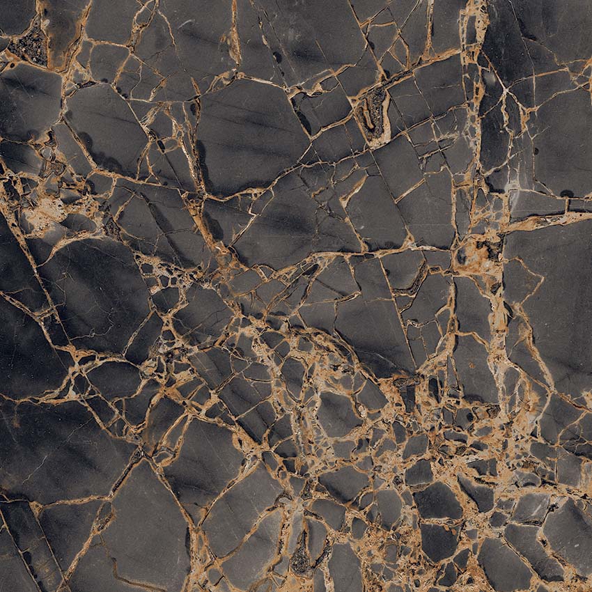 GR101 Golden Black High glossy 600x600 PrimaVera