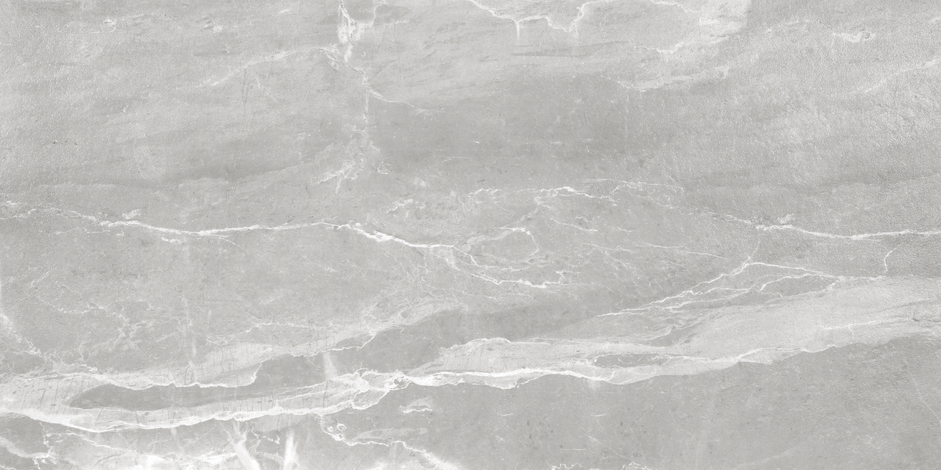NS612NTT9026L Slate Grey 60x120 NT Ceramic