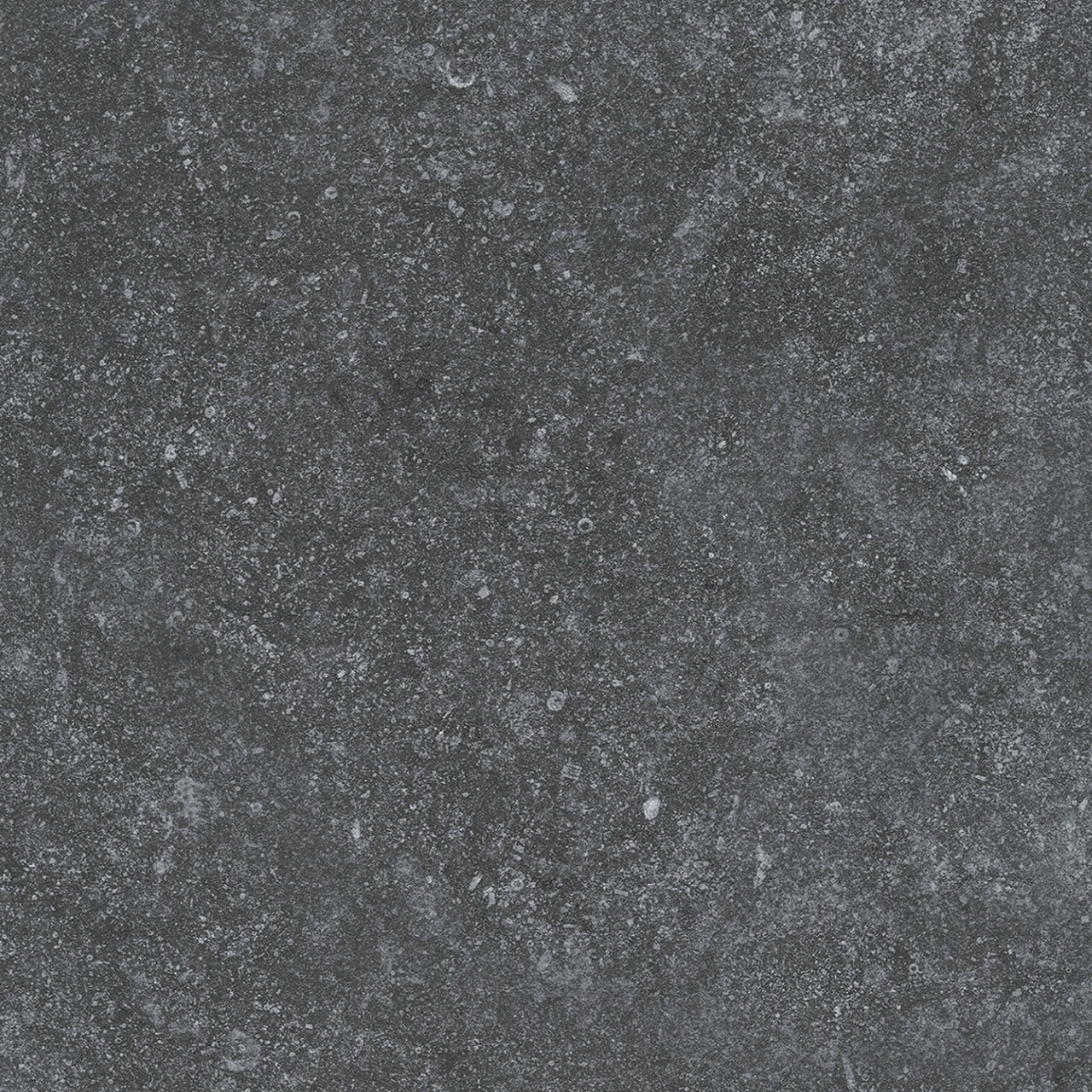 69419 Specter Black Matt 20mm 60x60 Persepolis Tile