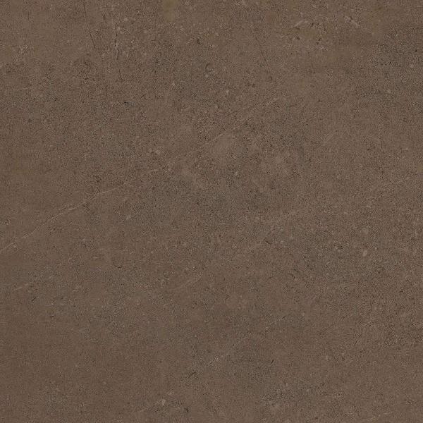 GO03 Gobi Brown Grey неполированный 60x60 Estima