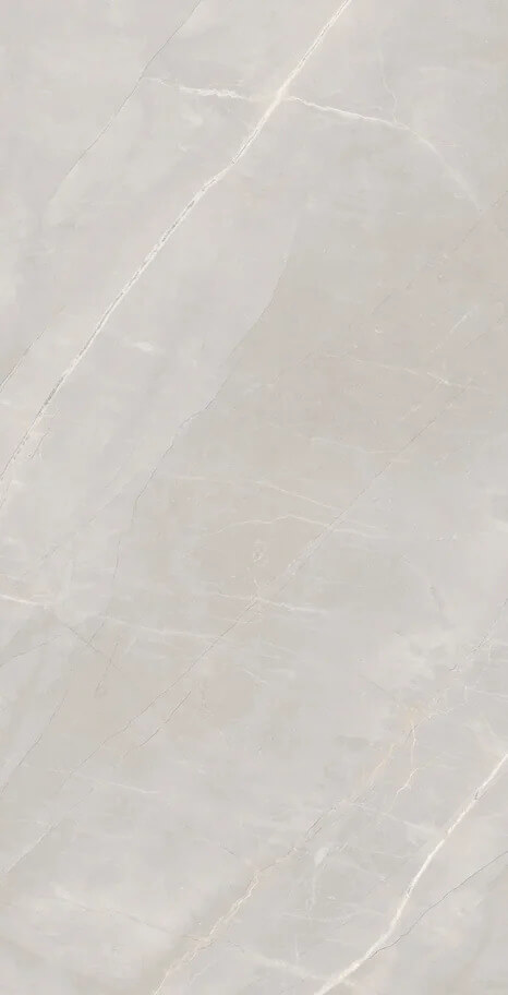 Marble Royalish Grey 120x60 Artcer