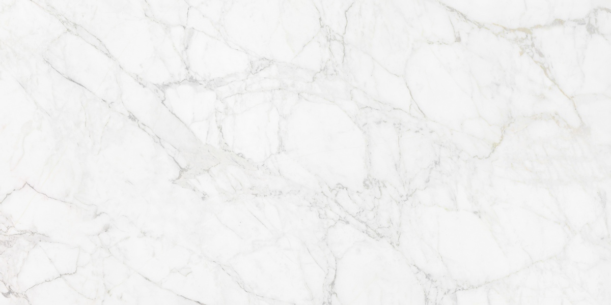 N12045 Carrara Giaola Polished 60x120 Neodom