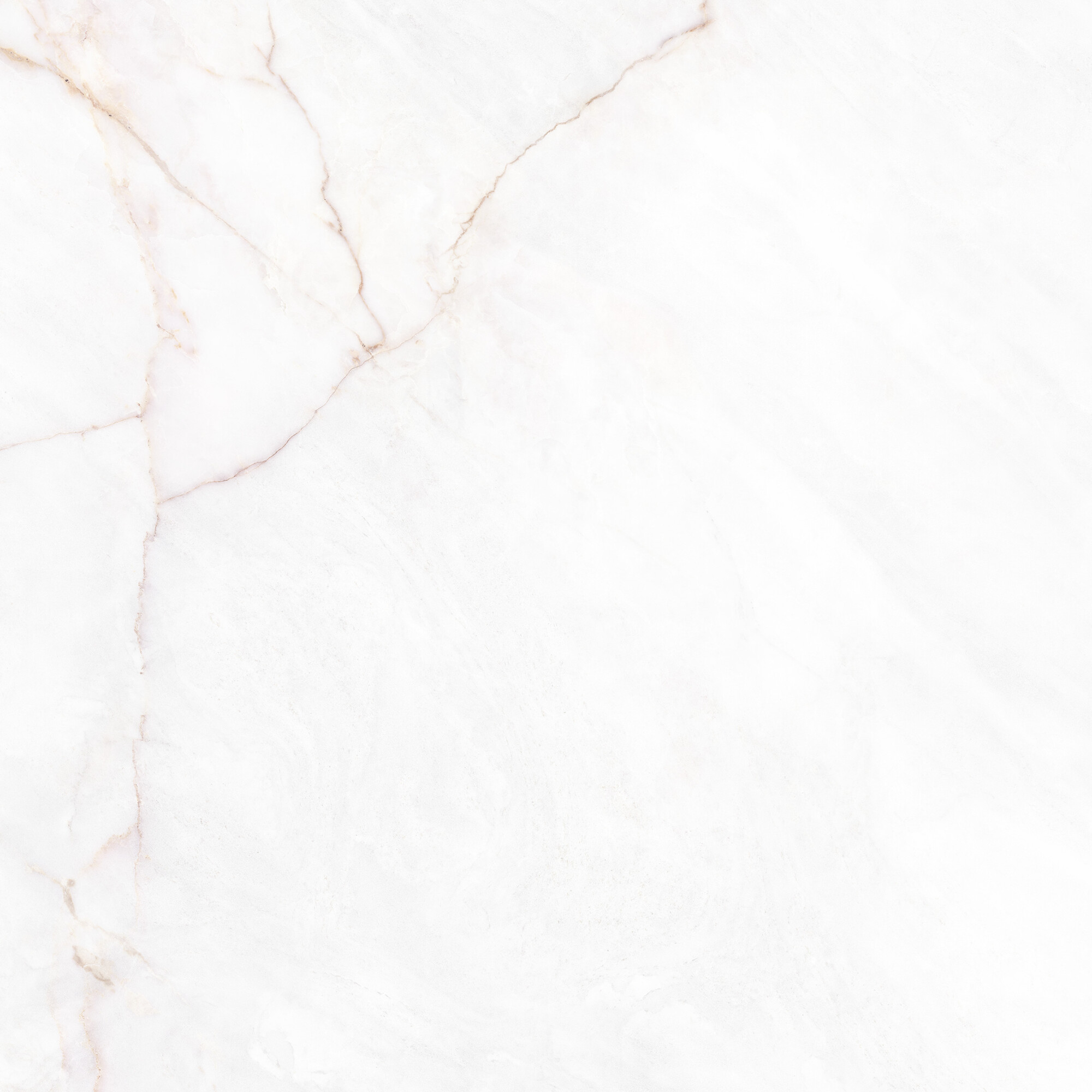41431 Dahlia White SP/100X100X0,8/R 100x100 Peronda фото 19
