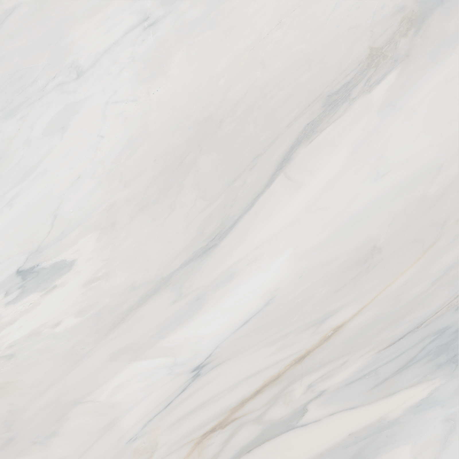 6060CAA03 Carolina Pearl Sugar 600x600x9.5 Delacora