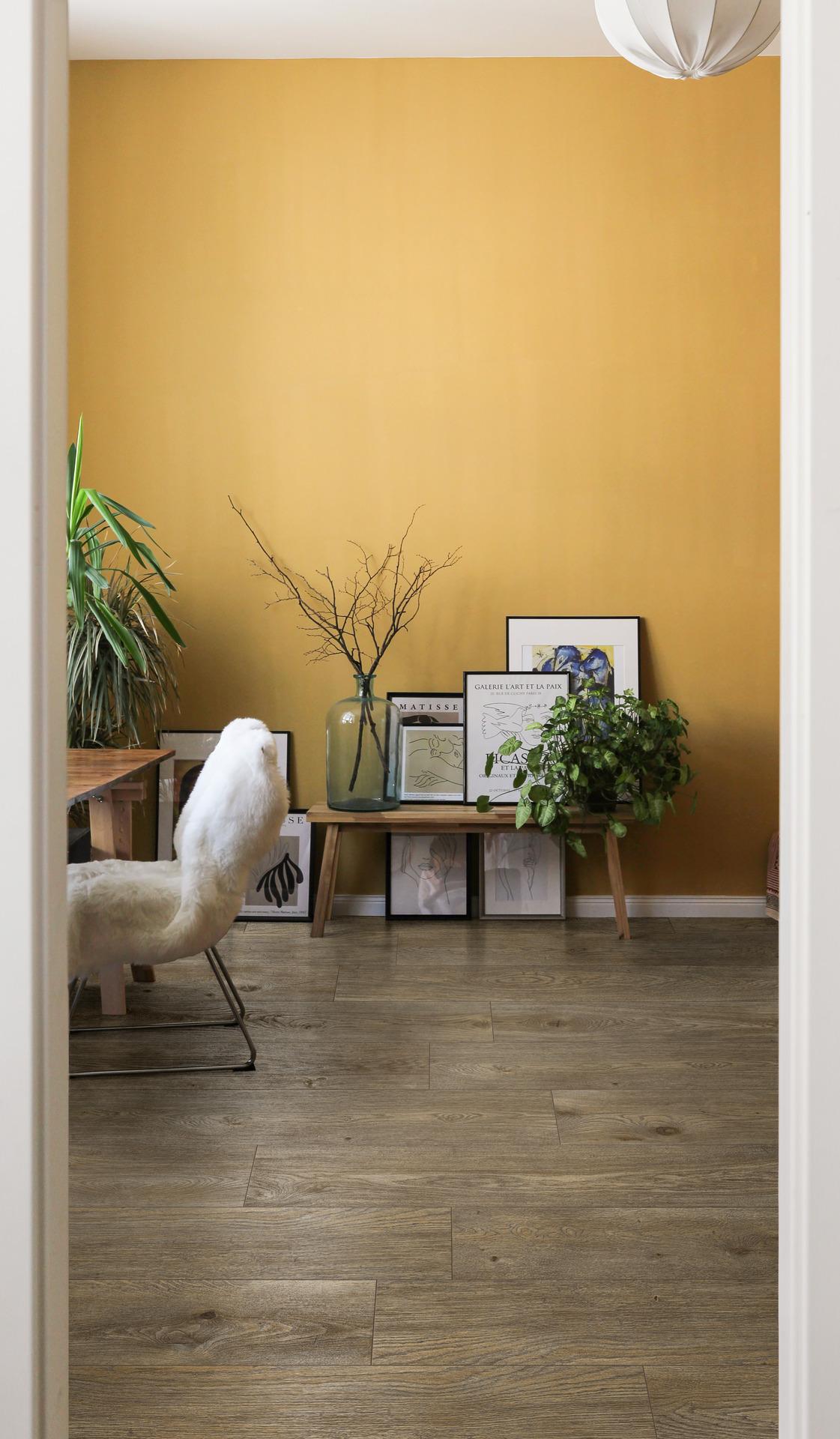 Inedito Ragno Marazzi