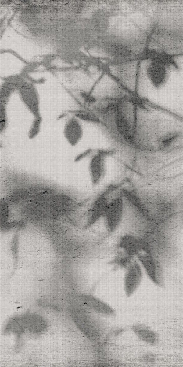 PF60012582 Art Walls Shadow Nat R 60x120 Flaviker