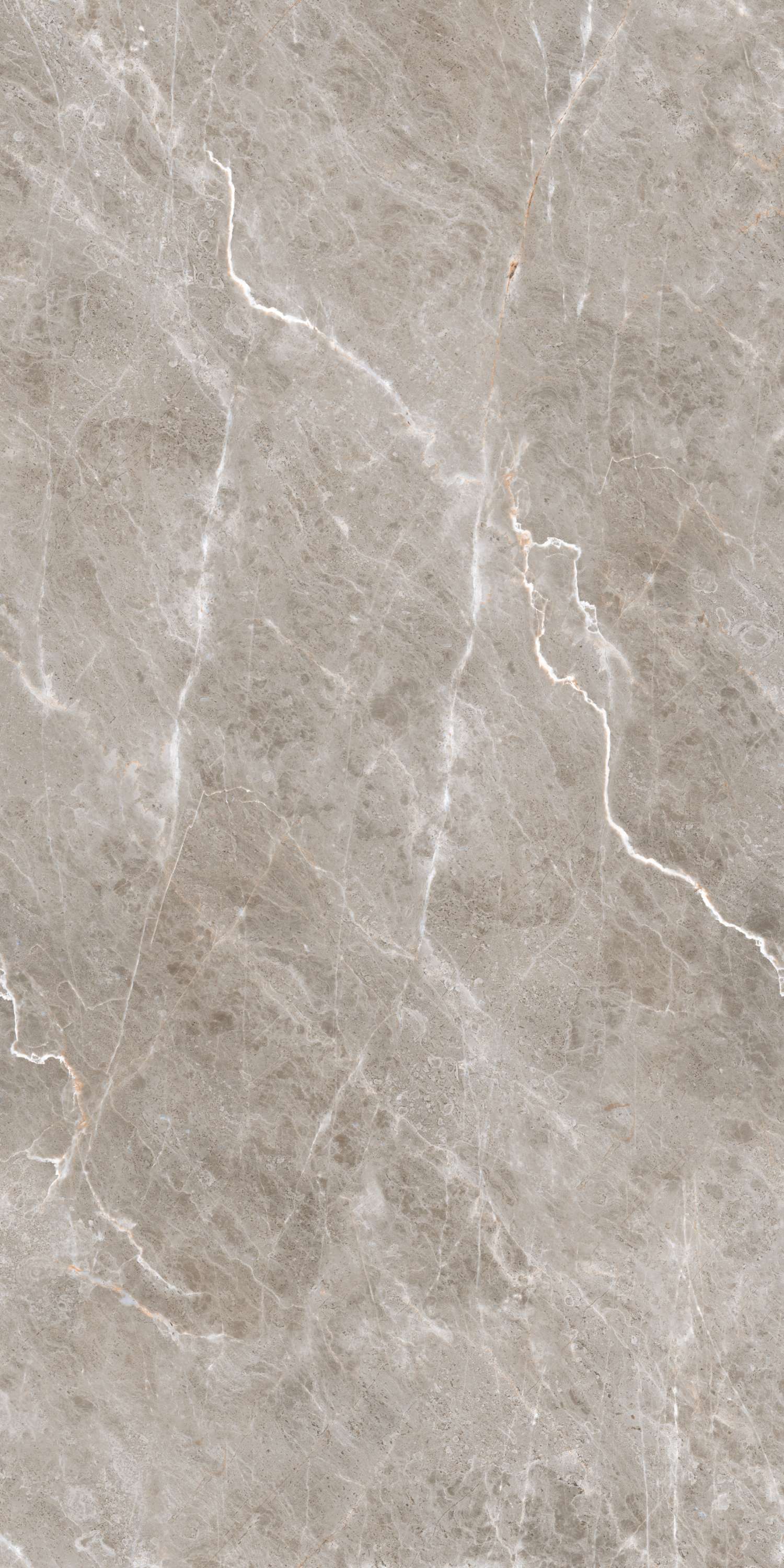 Burgass Brown Carving 60х120 Embito Granito