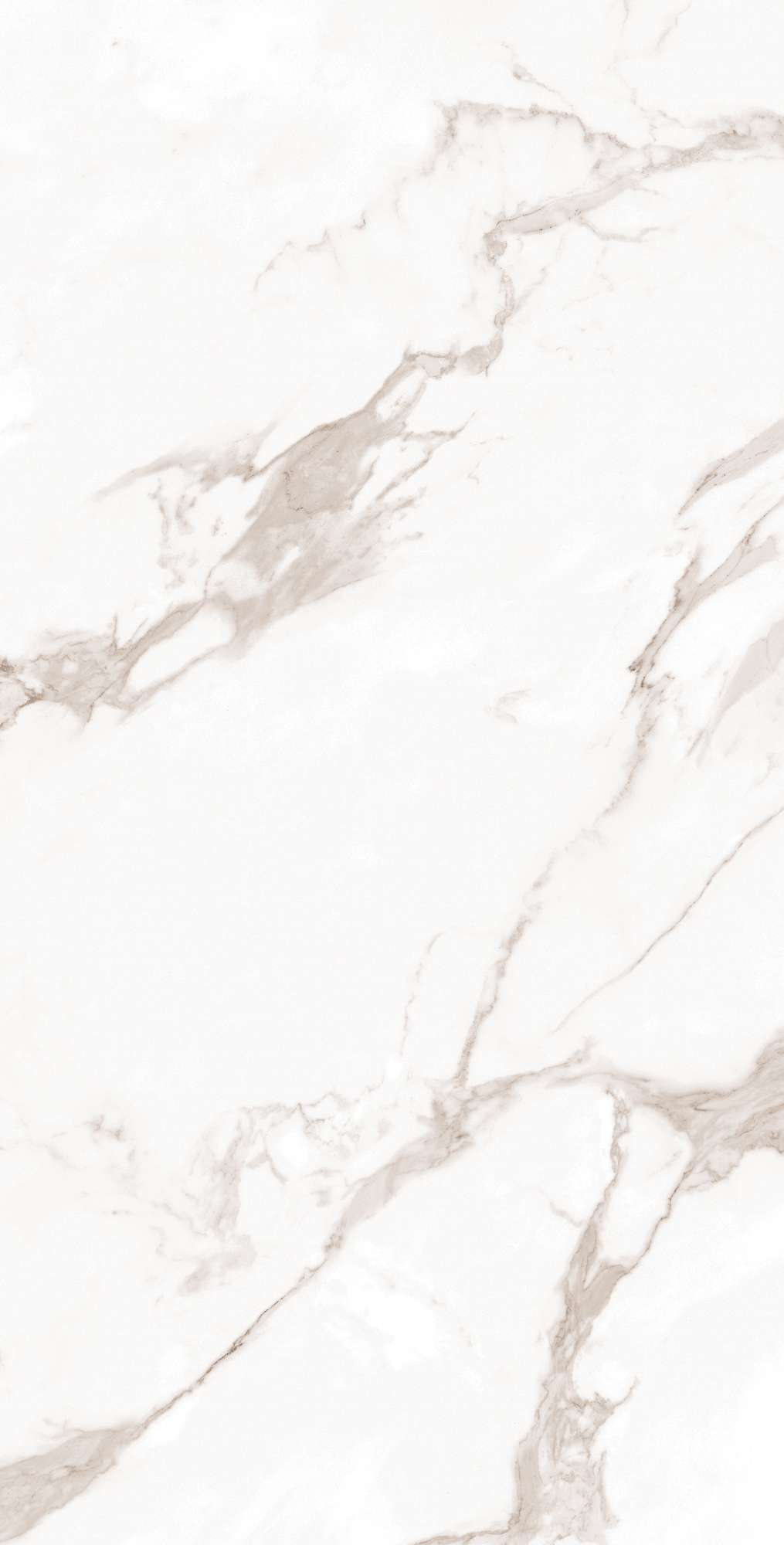 FP1019-A Calacatta Bianco Full Polished 60x120 Arcadia Ceramica