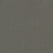 100GB0ANT PAG10 CHARCOAL ANT 10x11 Winckelmans