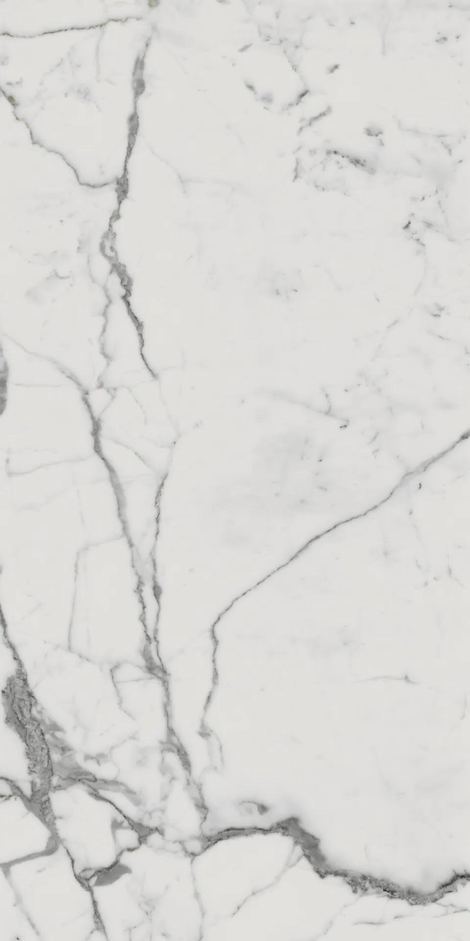 610010001682 Charme Evo Statuario Nat Ret 80x160 Italon фото 3