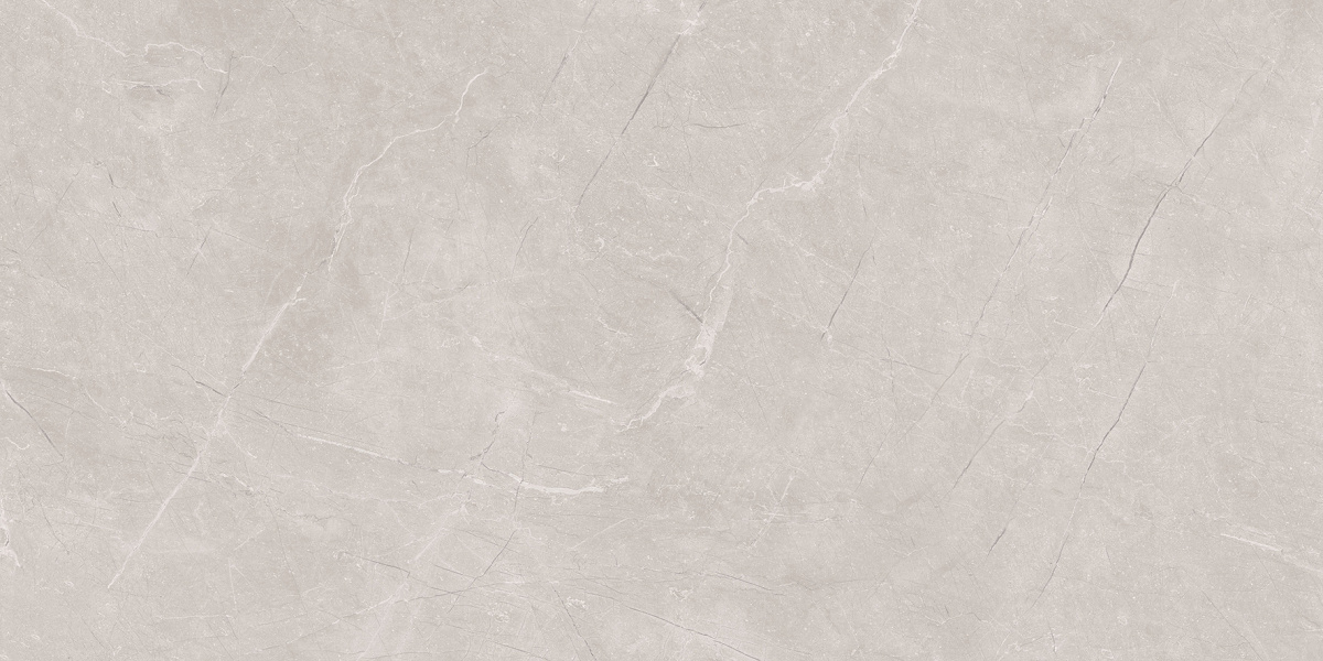 Stone Divine Grey Серый Матовый 60х120 Ceradim