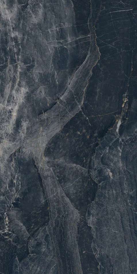 Shell Black (Vitro) 60x120 LV Granito