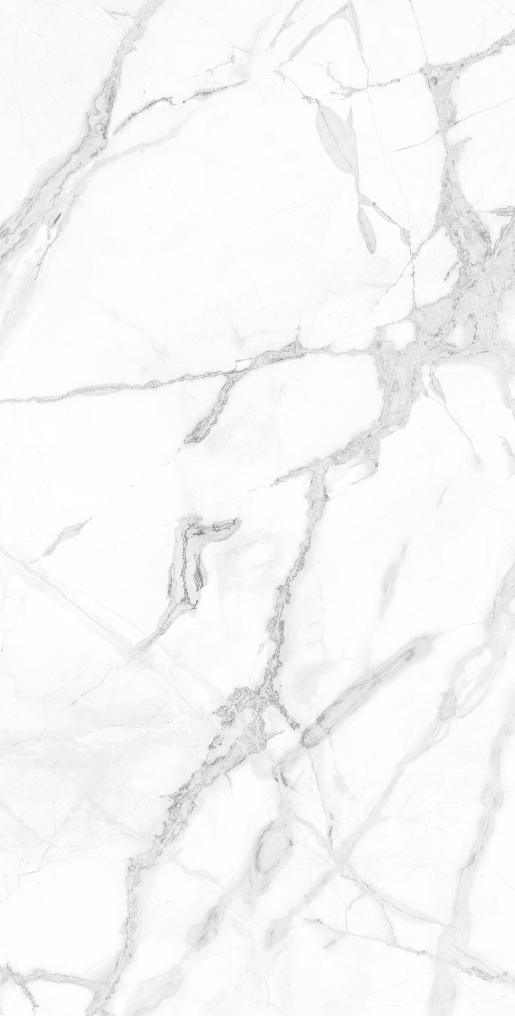 CR4023-A Diverso White Carving 60x120 Arcadia Ceramica фото 5