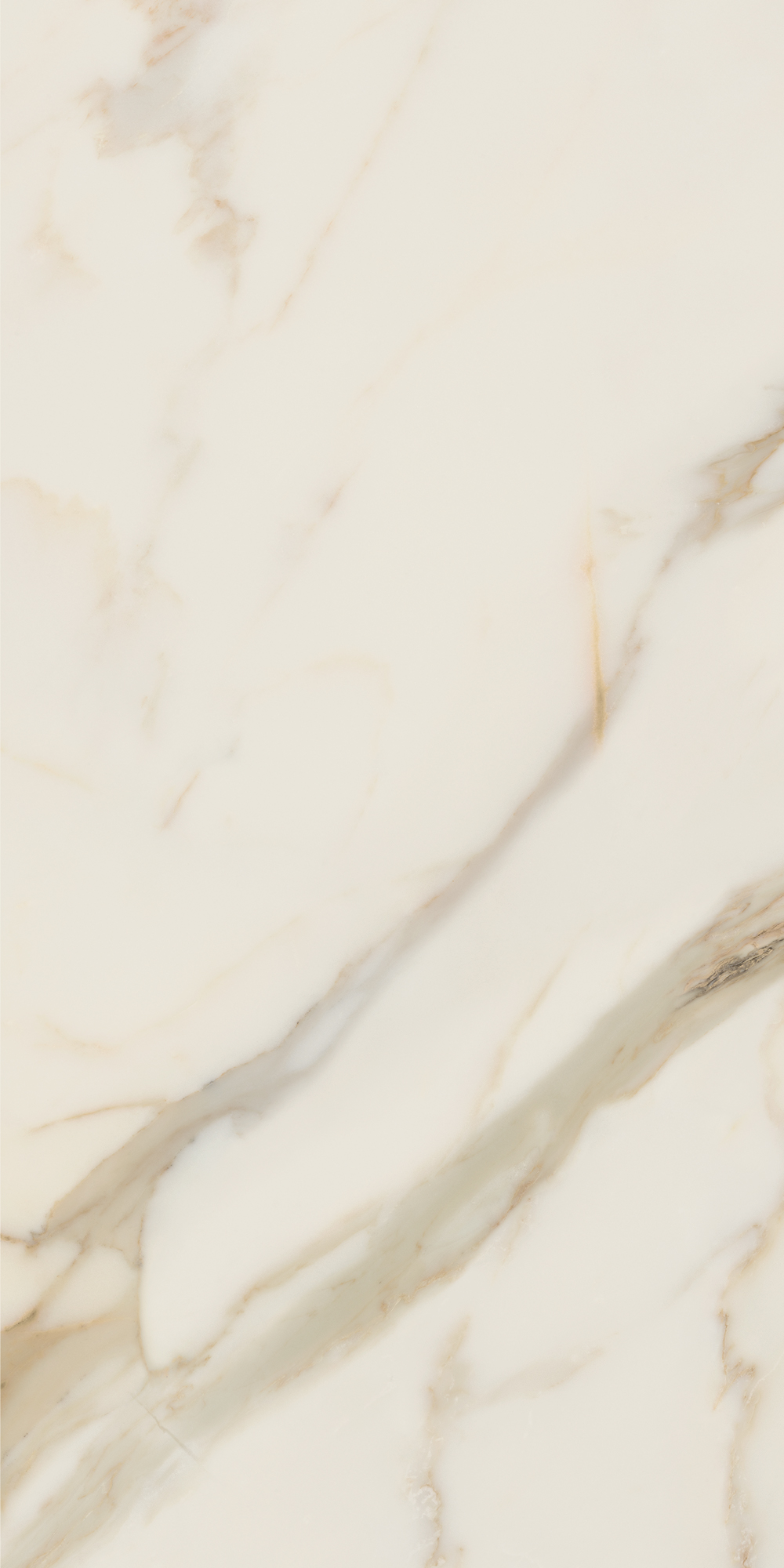 AGB4 Golden White Luc 60x120 Caesar