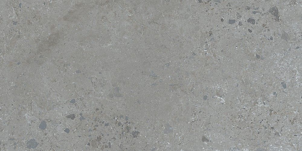 188999 Pietra Viva Grey 60x120 Dune