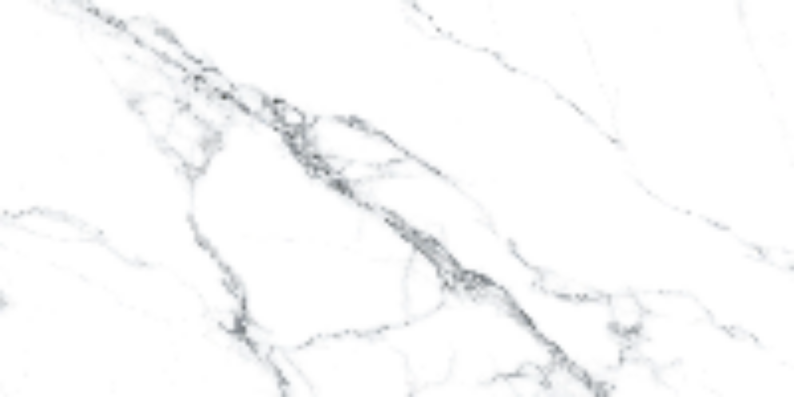 Statuariett White Pulido 60x120 Prissmacer