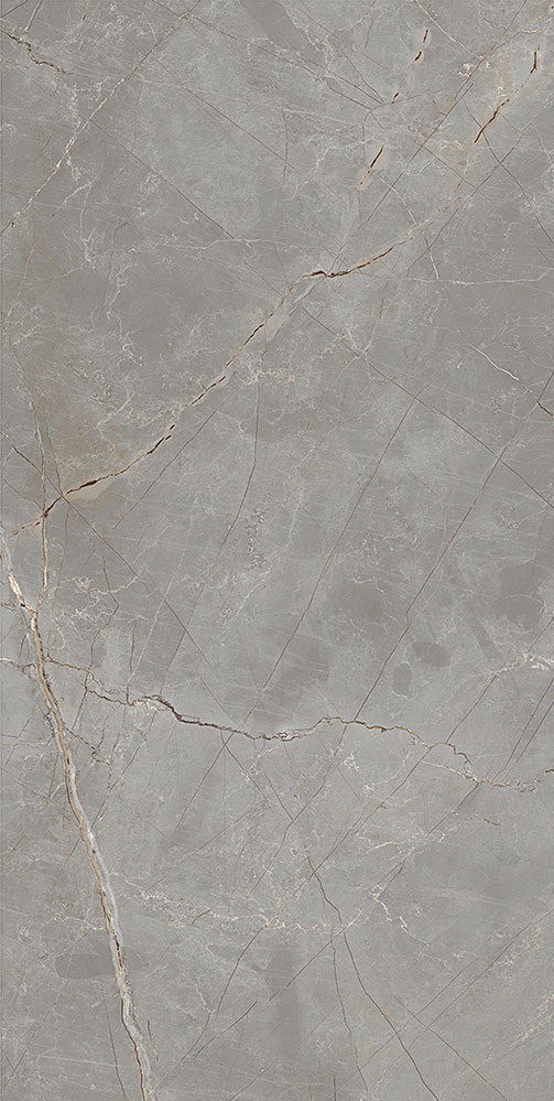 Raymi JW 16 Luc SQ 60x119.7 Mirage