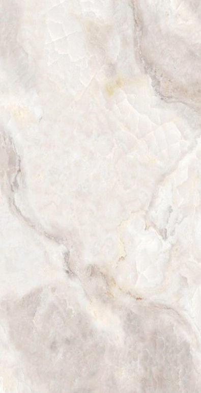 Onyx Clanton Rex pol. 60x120 Saans фото 8